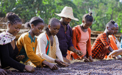 Ethiopia Yirgacheffe G-1 Worka Natural200g